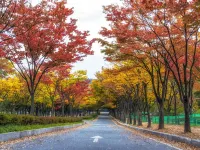 Incheon Grand Hotels near Seonhak Station