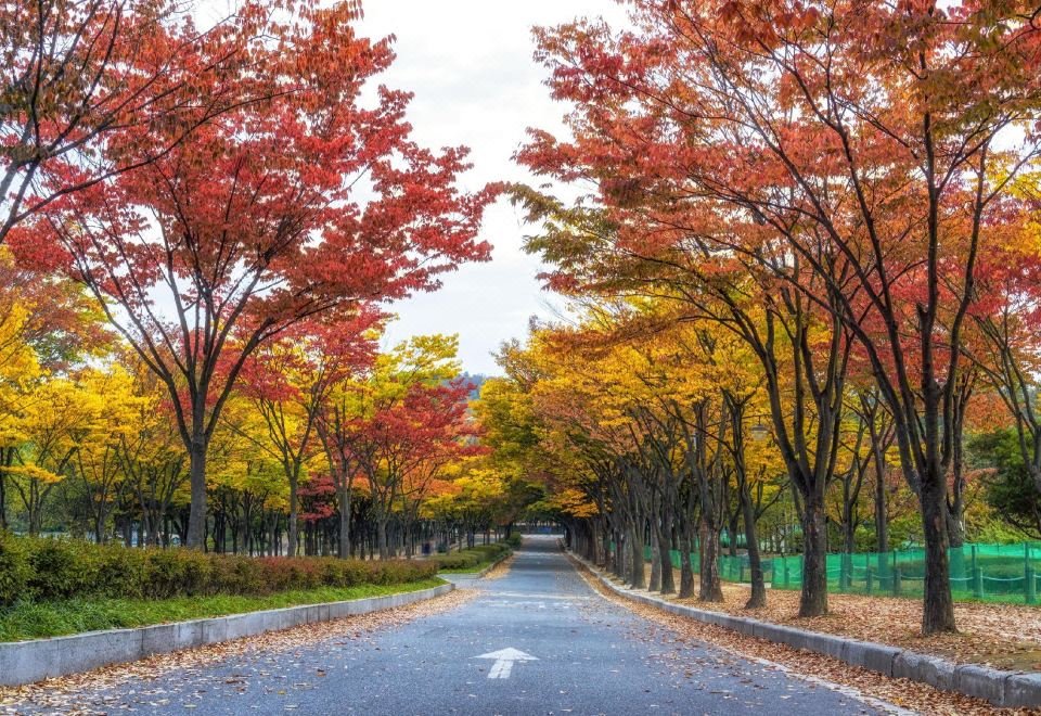 피카소 호텔 이미지