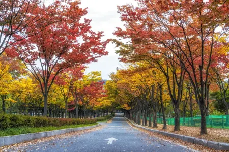 Incheon (Bupyeong) Donggyeong