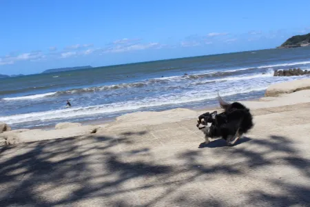 Sea Style Resort Ocean