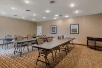Comfort Inn & Suites Northern Kentucky Hotels in Campbell County