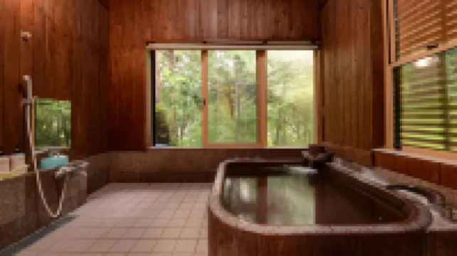 อาอิวาโนโมริ โฮเต็ล