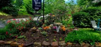 Vine Cottage Inn