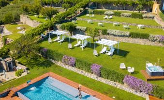 aerial view of a large backyard with a swimming pool surrounded by lush greenery , chairs , and umbrellas at Villa Riviera Resort