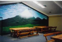 Egmont Eco Leisure Park & Backpackers Hotels in Kaitake