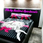Micky Santoro -Apartments Hotels in Santa Fe