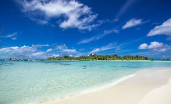 Ithaa Beach Maldives