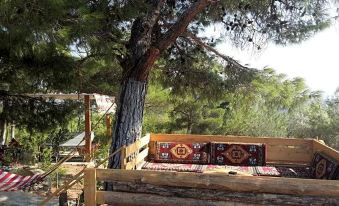 Ida Bay Bungalows - Housity