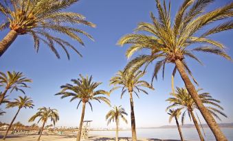 Mll Sahara Nubia Gobi Bay Hotel