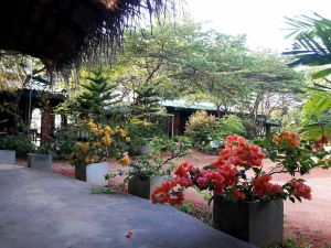 Sunshine Resort & Spa Sigiriya