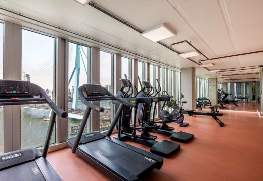 4. 엔하우 로테르담..