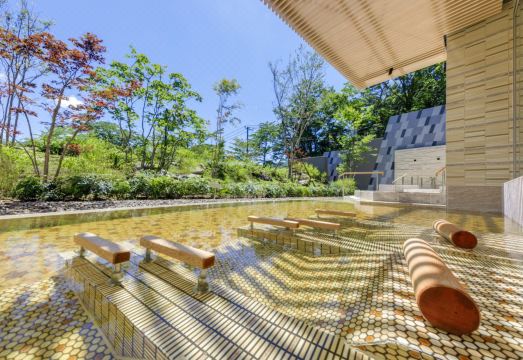 하코네 아시노코 호수 뷰