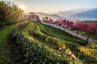 Yilan Ya Lu Homestay - فلل