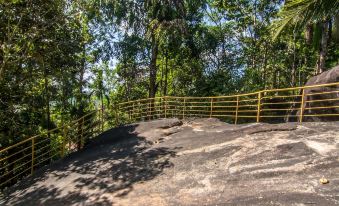 Edakkal Village Resort