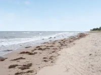 "Pascal" - 25m from the Sea Hotels in Gilleleje