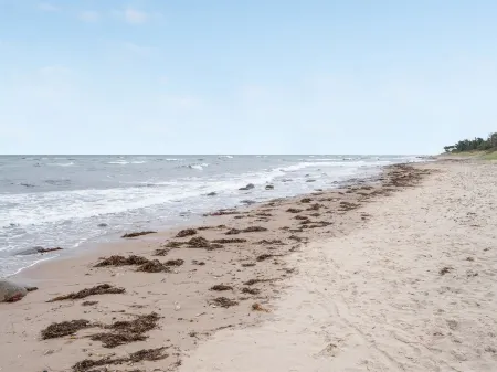 "Pascal" - 25m from the Sea