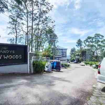 Chandys Windy Woods Munnar Hotel Exterior