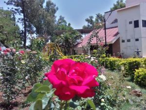 Sharmin Rose Cottage