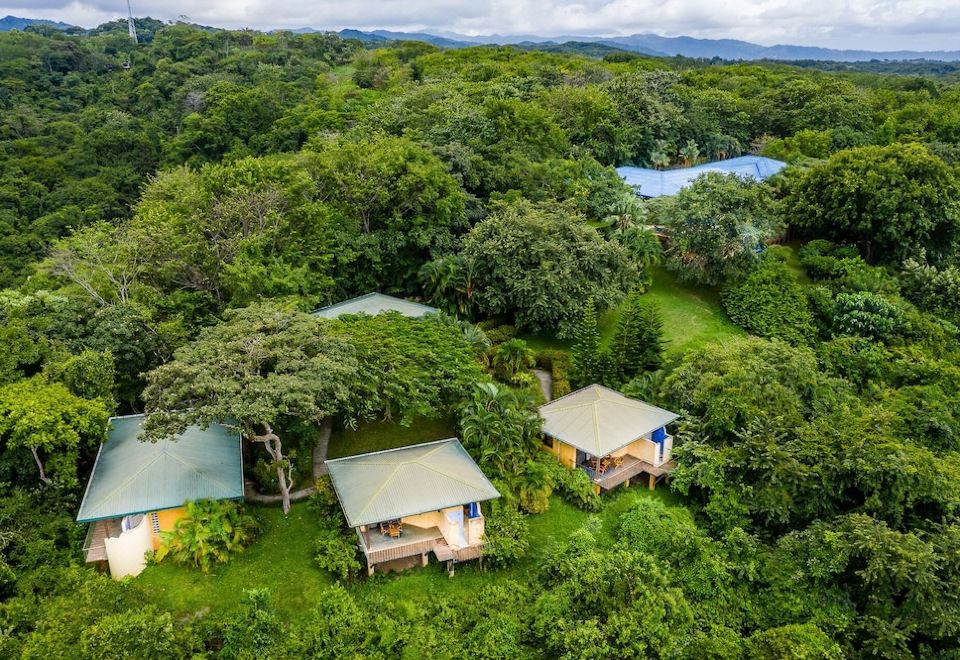 aerial view of a forested area with several small wooden cabins surrounded by trees , situated in the middle of the forest at Boutique Hotel Luna Azul