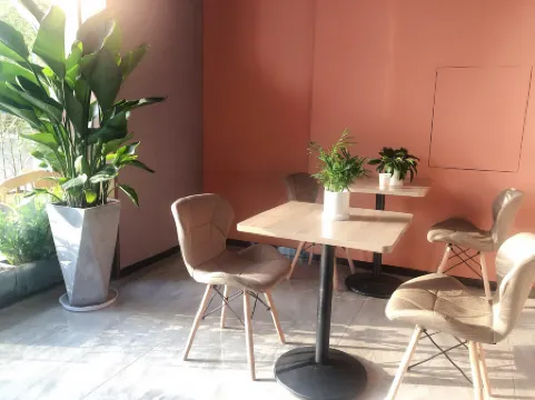 Ritz Hotel (Shenzhen Chaguang Metro Station)