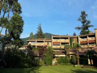 Villa Camelia