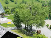 Schwalbennest