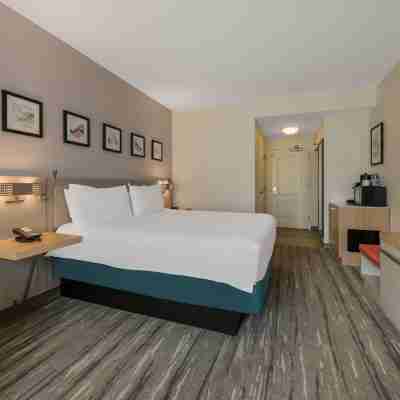 Hilton Garden Inn Rockford Rooms