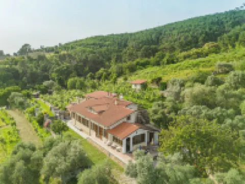 Casali