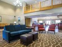 Comfort Suites Delavan - Lake Geneva Area Hotels in Delavan