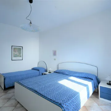 Oasis 1