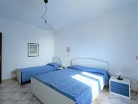 Oasis 1