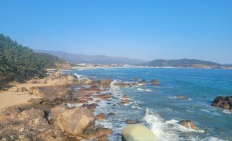 Pohang Healing House Pension