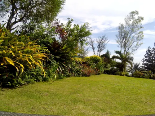 The Carmelence View Villa