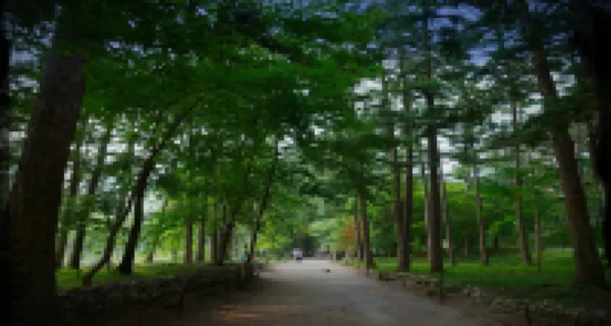 Buan Dream of Butterfly Pension