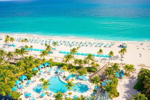 Margaritaville Hollywood Beach Resort - Quầy bar