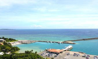 5. Moriya A..