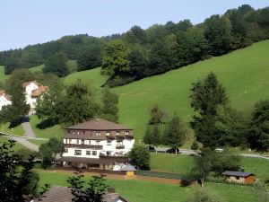 Hotel Grüner Baum Mit Restaurant & Wellness