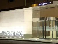 維拉克魯斯廣場 SPA 飯店 - 健身房