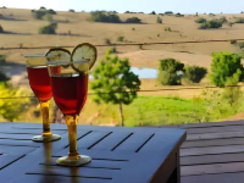 Kwantu Private Game Reserve