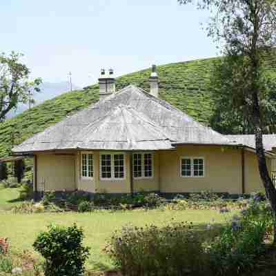 Ama Stays and Trails Tea Estate Bungalows , Munnar Hotel Exterior