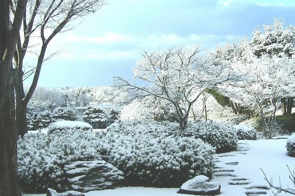 Shiganosato Onsen Ikoinomura Notohantou(志賀の郷温泉 いこいの村 能登半島)_5