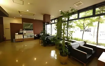 Hotel Route-Inn Myoko Arai Отели в г. Мёко