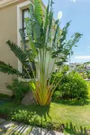 Villasun Luxury Apartments & Villas - Villas