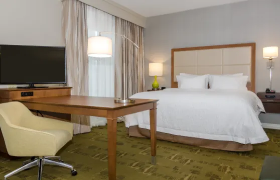 希爾頓歡朋套房酒店-新奧爾巴尼哥倫布