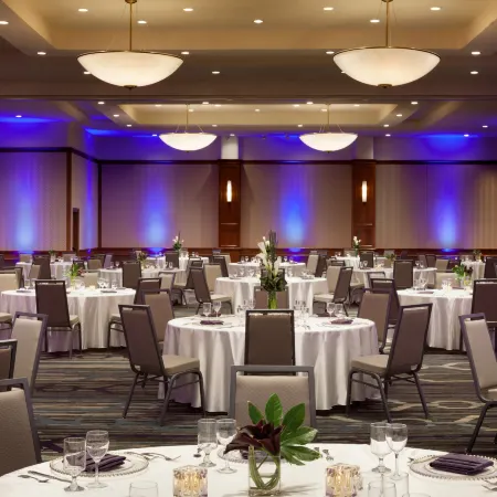 DoubleTree by Hilton Minneapolis-Park Place