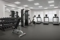 Hilton Garden Inn Lafayette/Cajundome - Gym