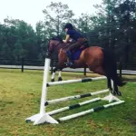 Tanglewood Farm -Horse & Hound Suite 1 Br/2BA Private Apt on Horse Farm