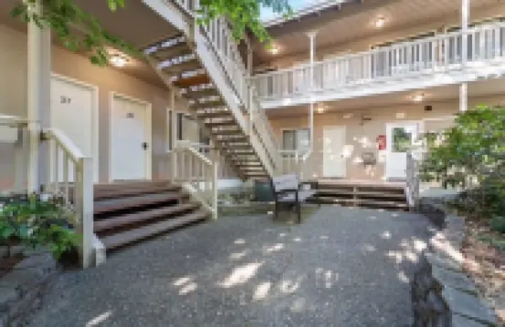 Comfortable Modern Condo near Downtown