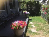 Pyrenees Farm Stay AmphitheatrePet friendly) Bed and Breakfast.