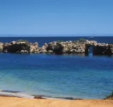 Sharpie’s Family Shack 🏝 Greenhead 🏡 Hotel a Leeman